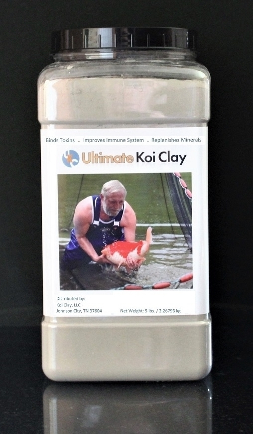 Koi Length and Weight - Ammonia Produced, and Waste Produced