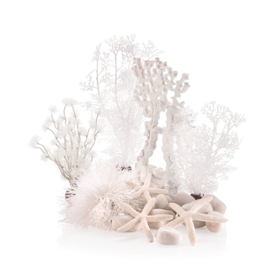 White Spike Coral
